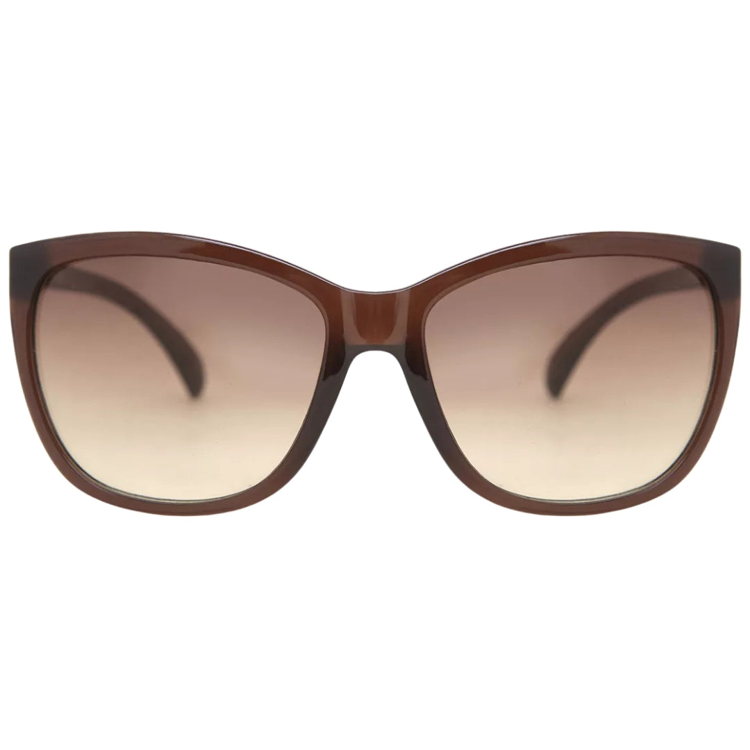 Calvin Klein Brown Frame Brown Gradient Lensed Sunglasses CK19565S 210