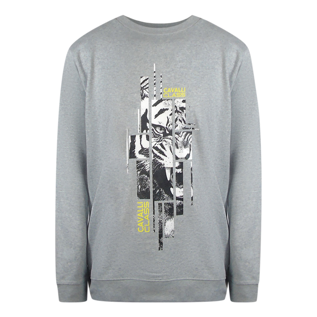 Cavalli Class Txt66E Cf050 05001 Grey Round Neck Sweatshirt Mens M