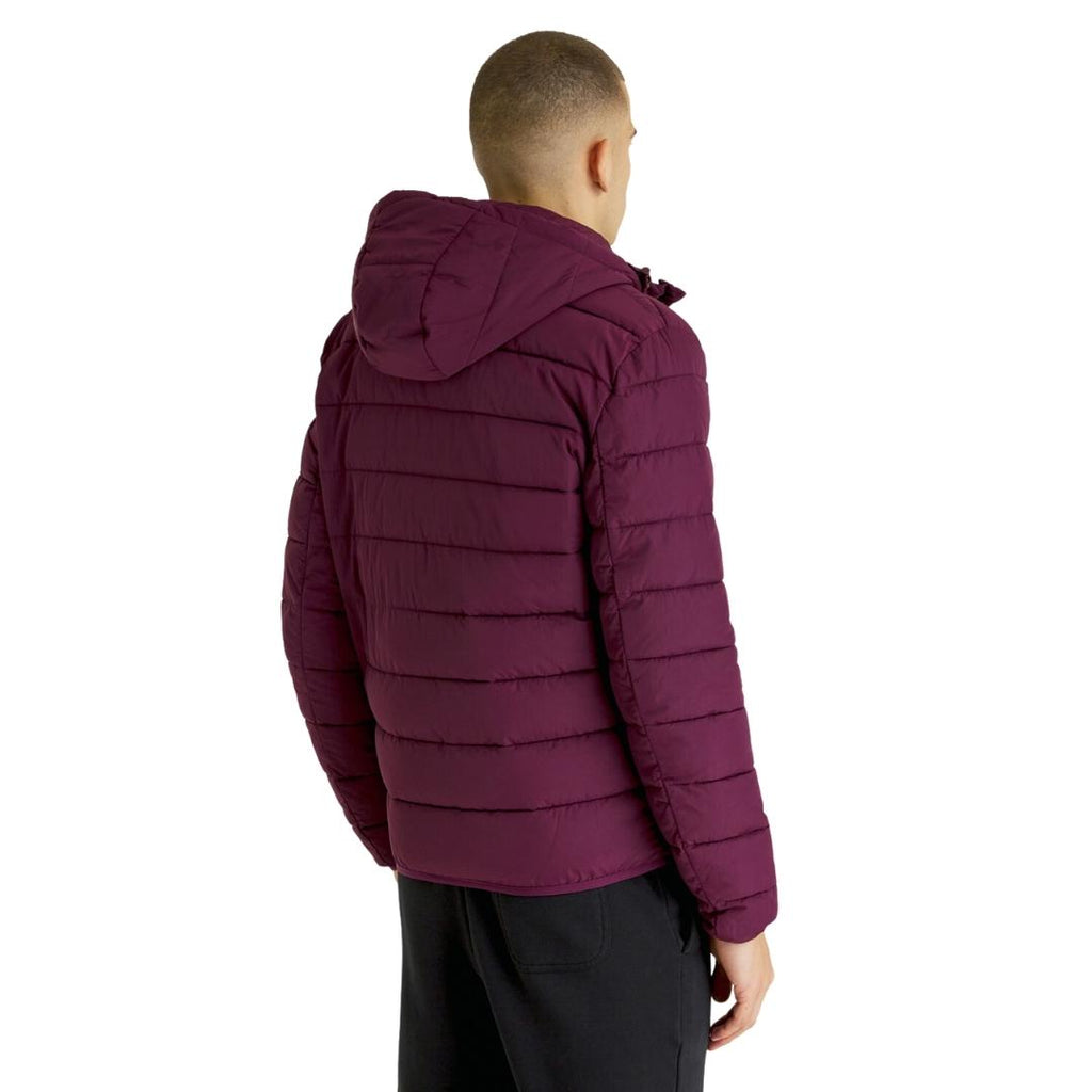Lyle Scott Branded Burgundy Hooded Puffer Jacket